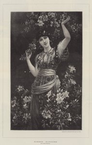 夏天的花朵